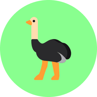 ostrich