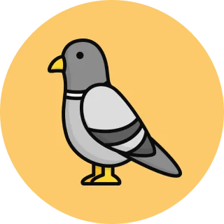 pigeonCategory