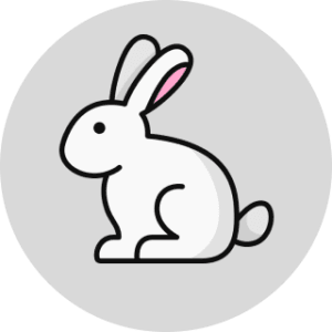 rabbitCategory
